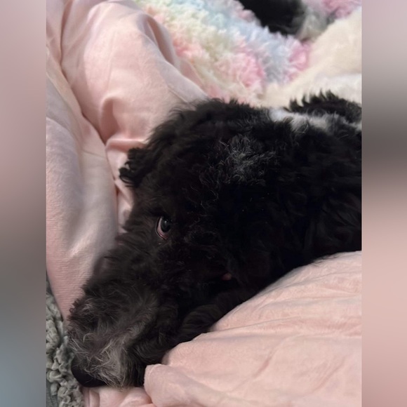 NEW LISTINGS COMING SOON - Picture 6 of 7